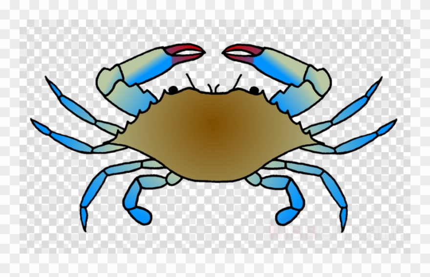 Chesapeake Blue Crab Clipart Dungeness Crab Clip Art - Blue Crab Clipart Free - Png Download
