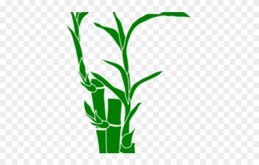 Bamboo Clipart Sign - Bamboo Shoots Clipart Png Transparent Png