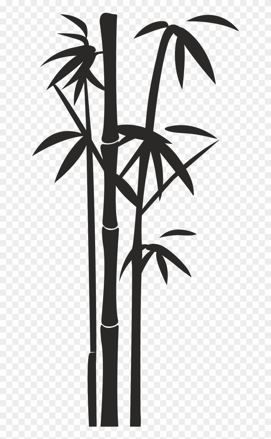 Bamboo Png - Portable Network Graphics Clipart