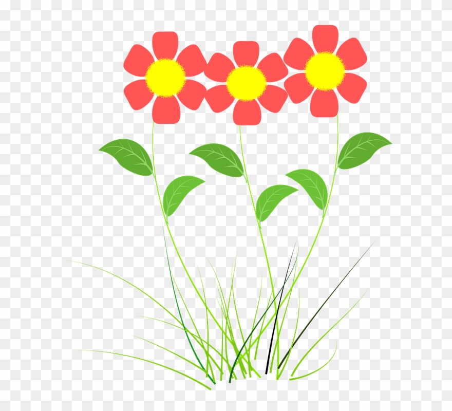 Drawings Of Spring Flowers 10, Buy Clip Art - Flores Desenho Png Transparent Png