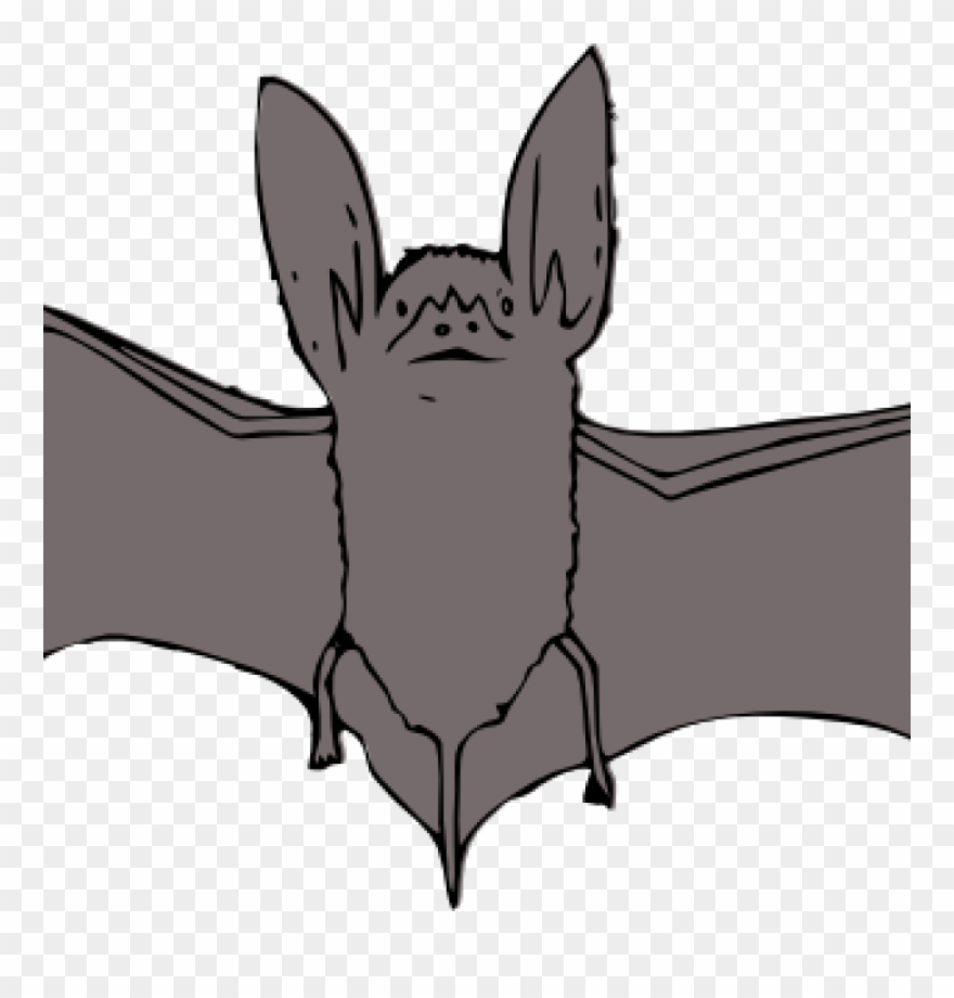 Bat Clipart Bat Clip Art At Clker Vector Clip Art Online - Bat With Open Wings - Png Download
