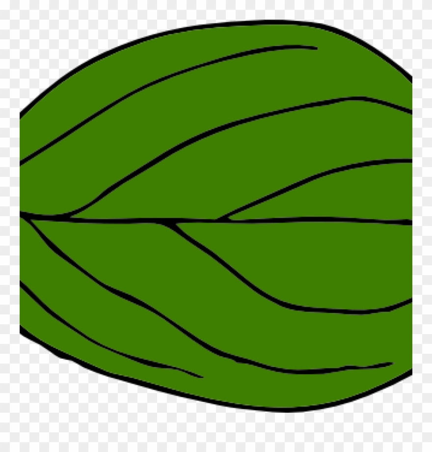 Green Leaf Clipart Dark Green Leaf Clipart Classroom - Leaf - Png Download