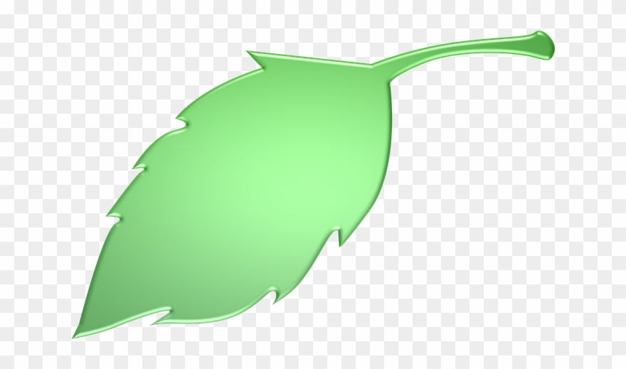 Green Leaf Clipart 1, Buy Clip Art - Leaf - Png Download