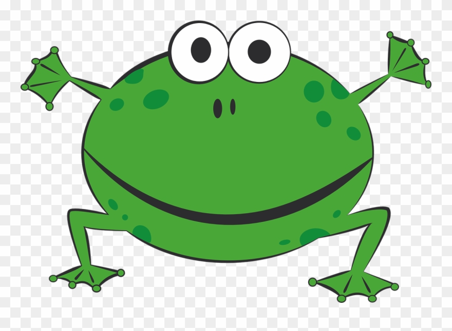 Green Frog Clipart 12, Buy Clip Art - กบ สี เขียว - Png Download