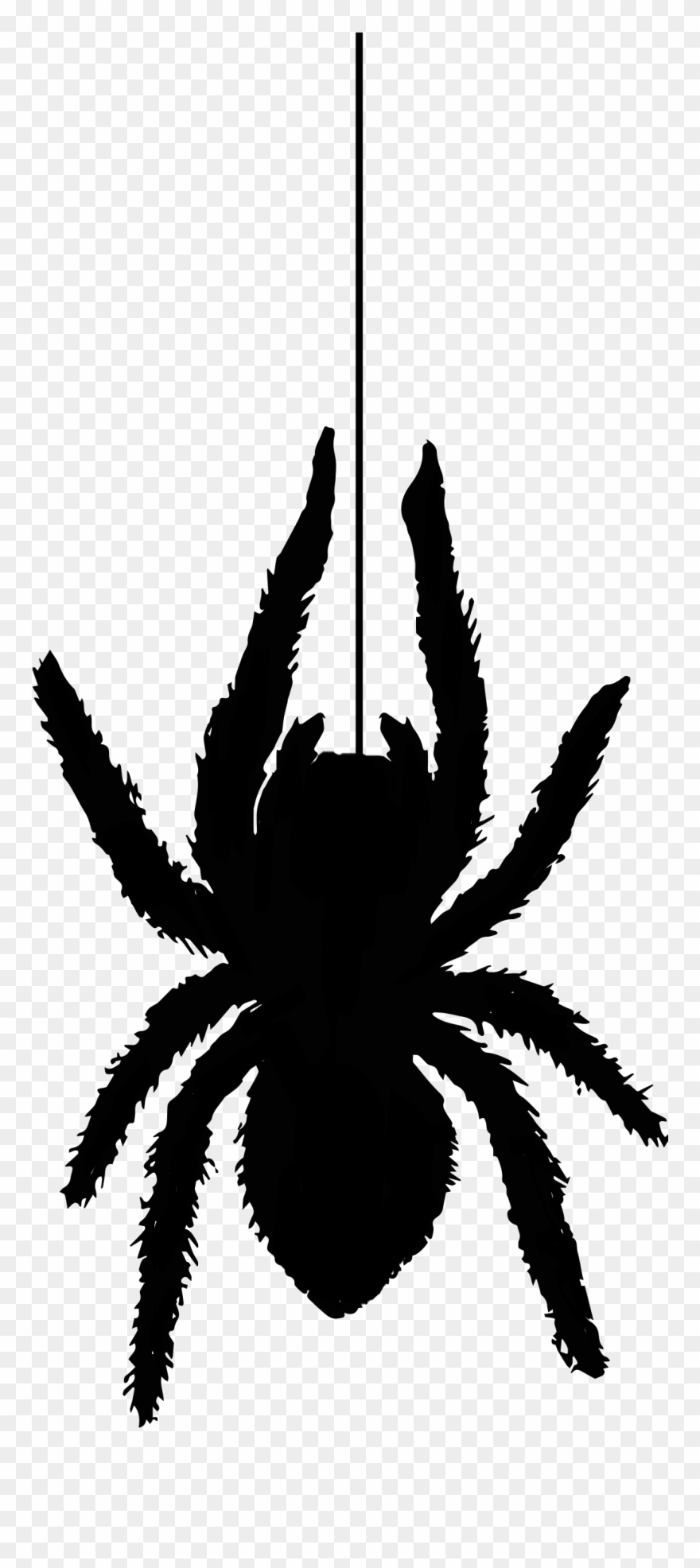 Spider Silhouette1353 Free Vintage Clip Art - Clip Art - Png Download