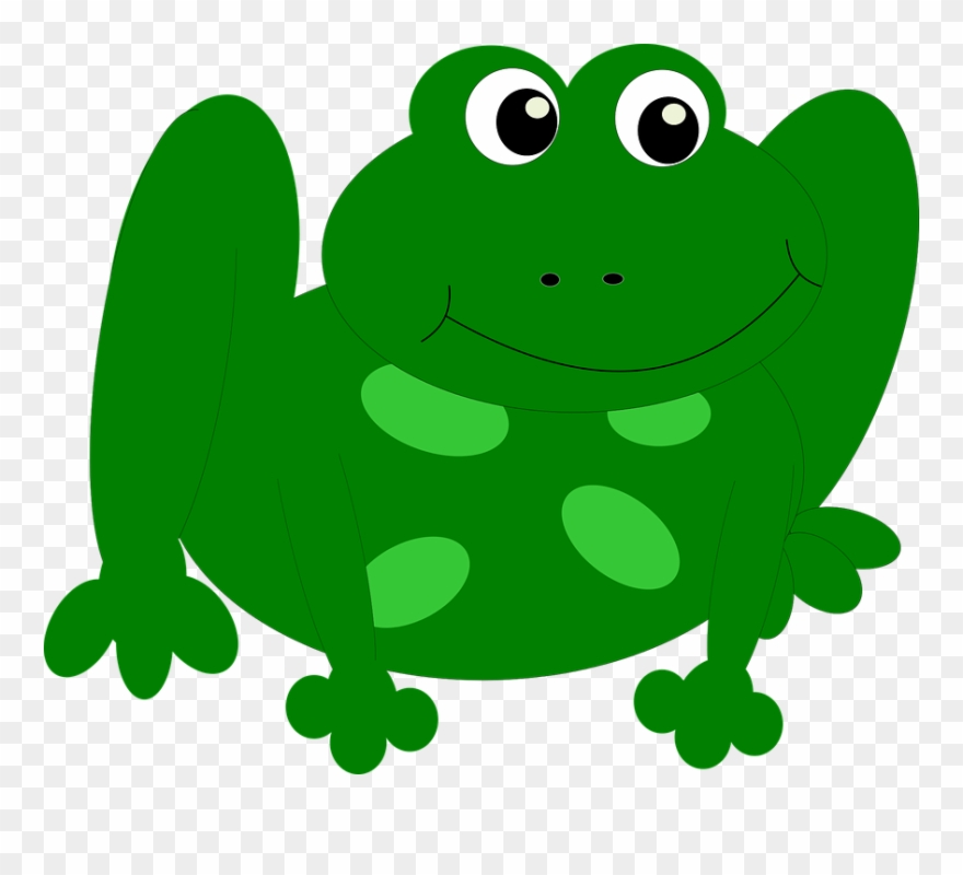 Green Frog Clipart 11, Buy Clip Art - Clip Art - Png Download