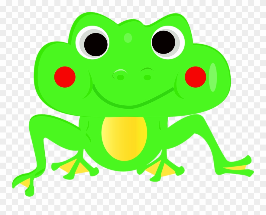 Green Frog Clipart 19, Buy Clip Art - Rana Animado Png Transparent Png