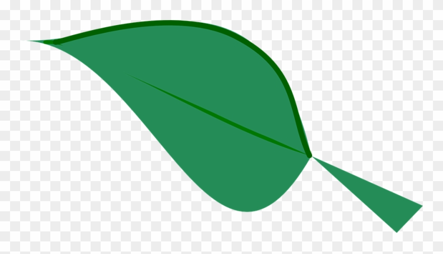 Green Leaf Clipart 12, Buy Clip Art - Dark Green Leaf Clipart - Png Download