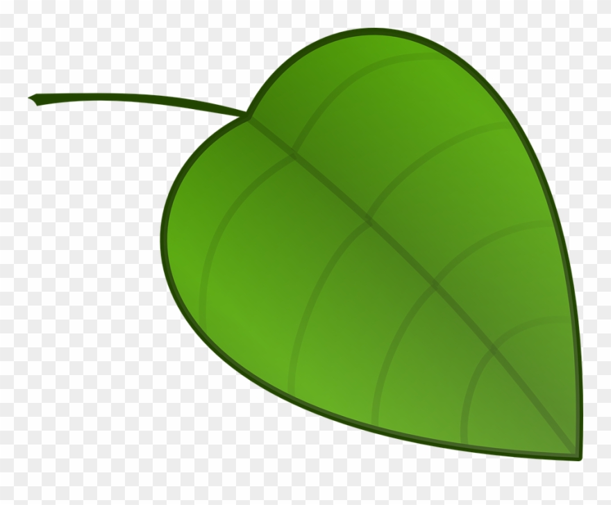 Leaf Small Clipart