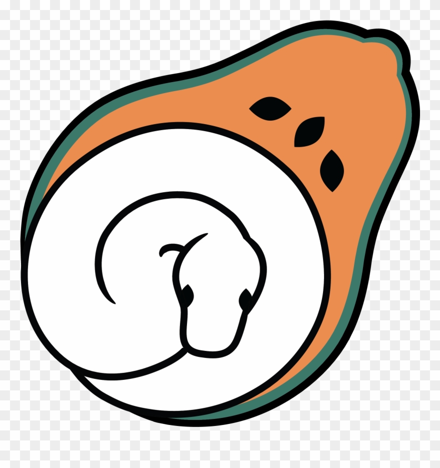 Cinnamon Lesser Yellow Belly Charmer Ball Python Clipart