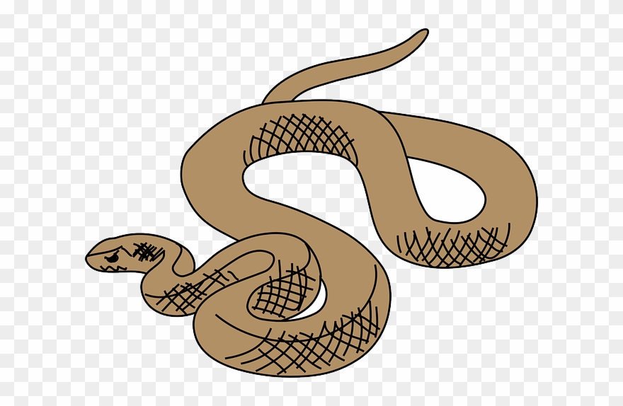 Brown Tree Snake Clip Art - Png Download