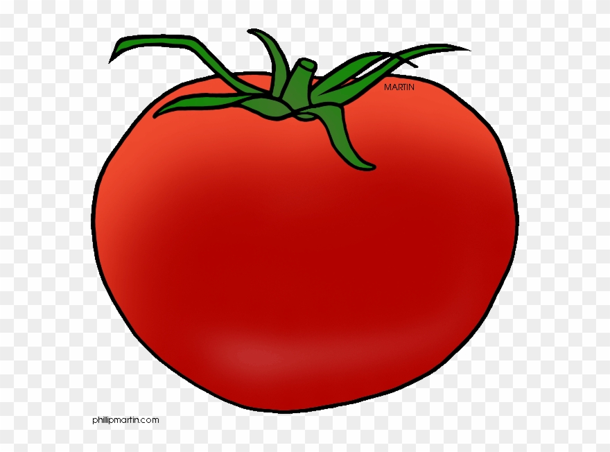 Tomato Clip Art - Fruit - Png Download