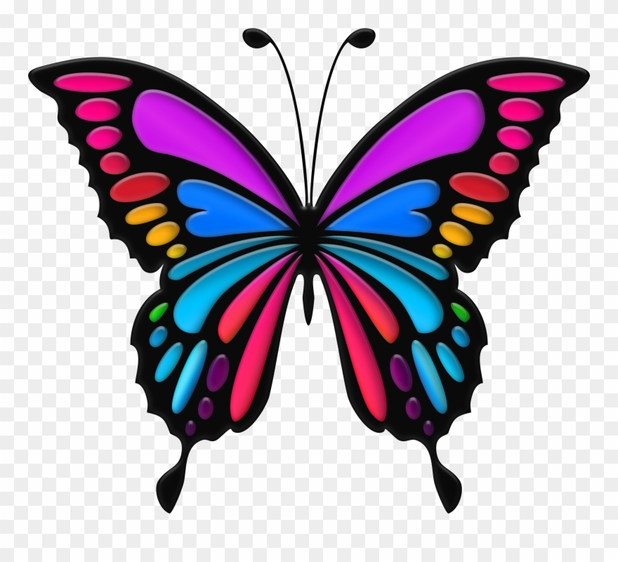 Colorful Butterfly Png Clip Art Image 959569390 Png Transparent Png