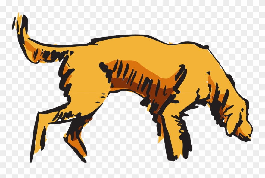 Dog, Pet, Animal - Hunting Dog Transparent Clipart