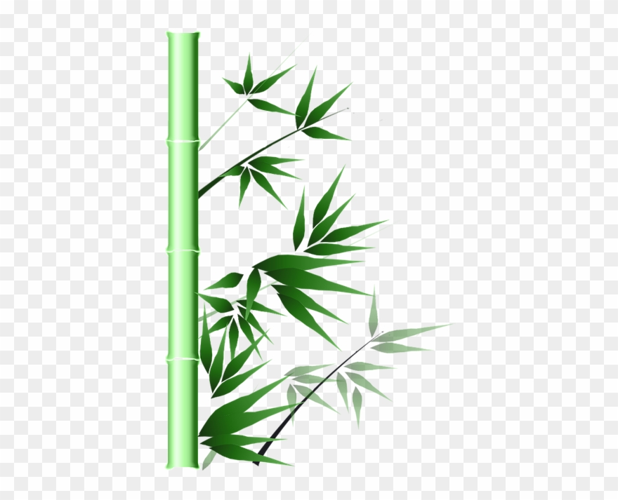 Bamboo Png 19, Buy Clip Art - Panda Bear Eating Bamboo Watercolor Art Journal: 150 Transparent Png