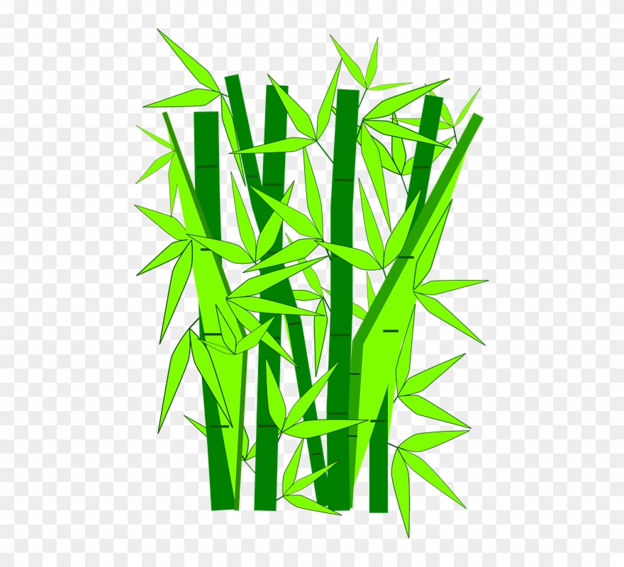 Bamboo Cliparts Free 4, Buy Clip Art - 3drose Lime N Dark Green Bamboo, Trivet - Png Download