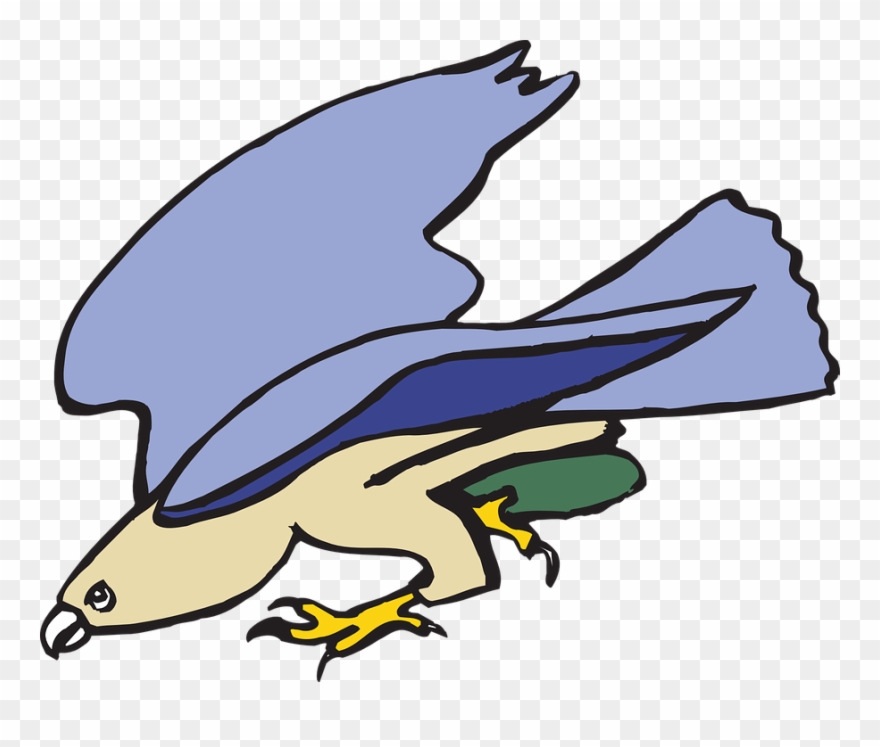 Birds Cartoon Images 28, Buy Clip Art - Cartoon Kite Bird - Png Download