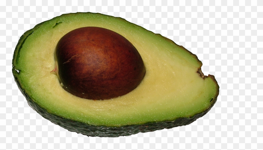 Avocado Png 2, Buy Clip Art - Avocat Fruit En Anglais Transparent Png