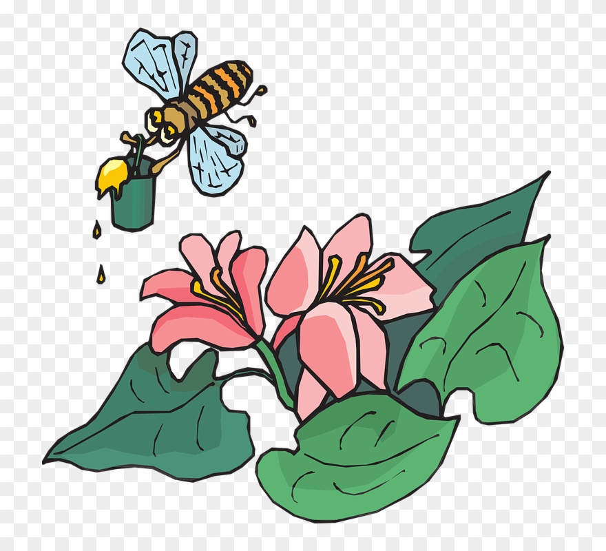 Bumble Bee Outline 23, Buy Clip Art - Work Hard Stay Disciplined And Be Patient - Png Download