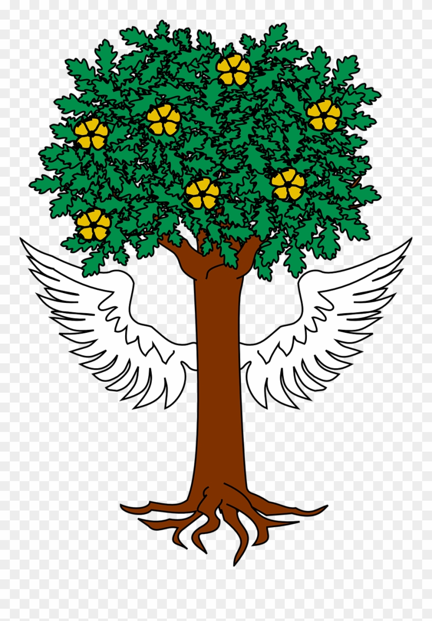 Escudo Del Apellido Lizarraga Clipart