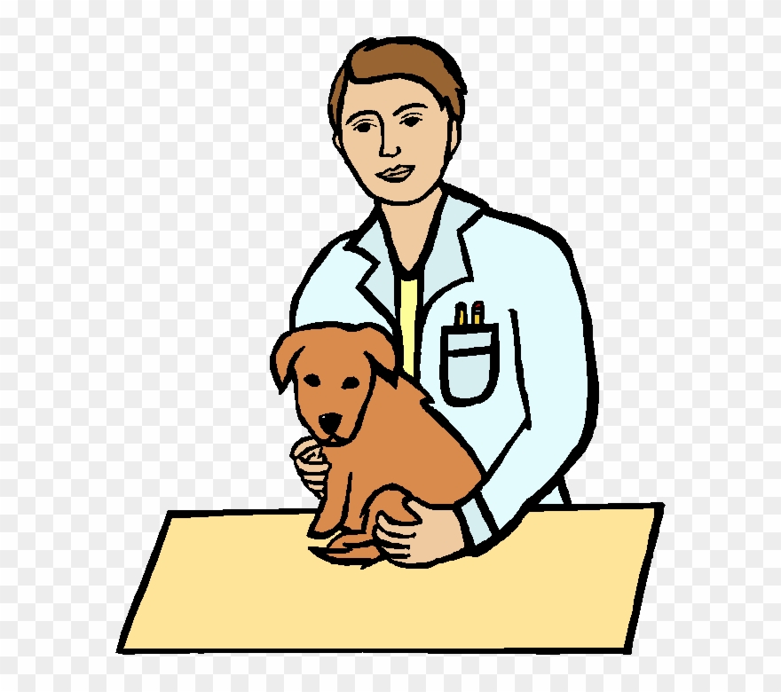 Free Download Vet And Dog Clipart Dog Veterinarian - Male Veterinarian Clipart - Png Download