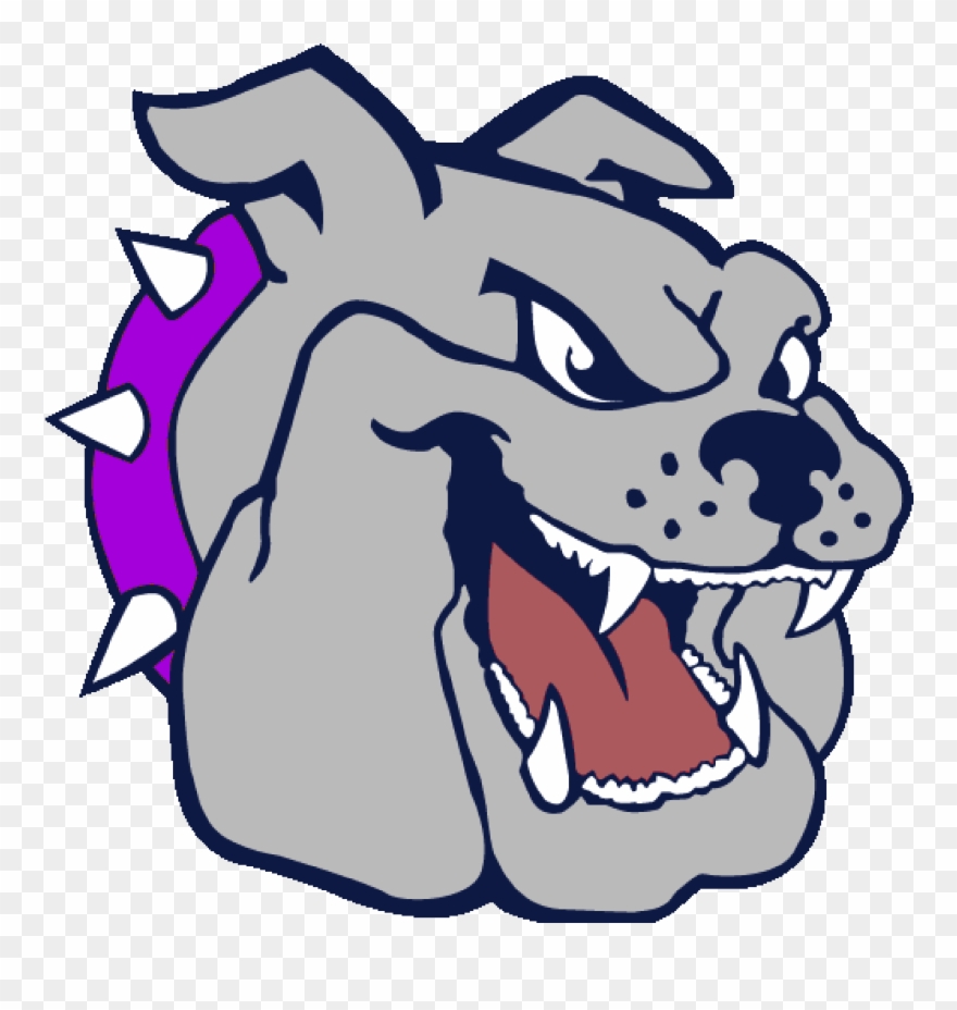 Bull Dog Clipart Images Cliparts - Old Orchard Junior High Bulldog - Png Download