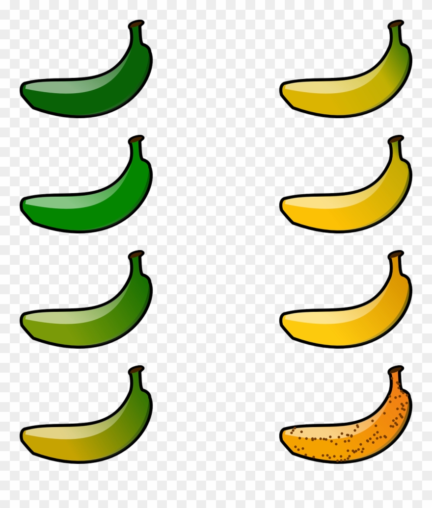 Banana Peel Cliparts 25, Buy Clip Art - Grado De Madurez Del Banano - Png Download