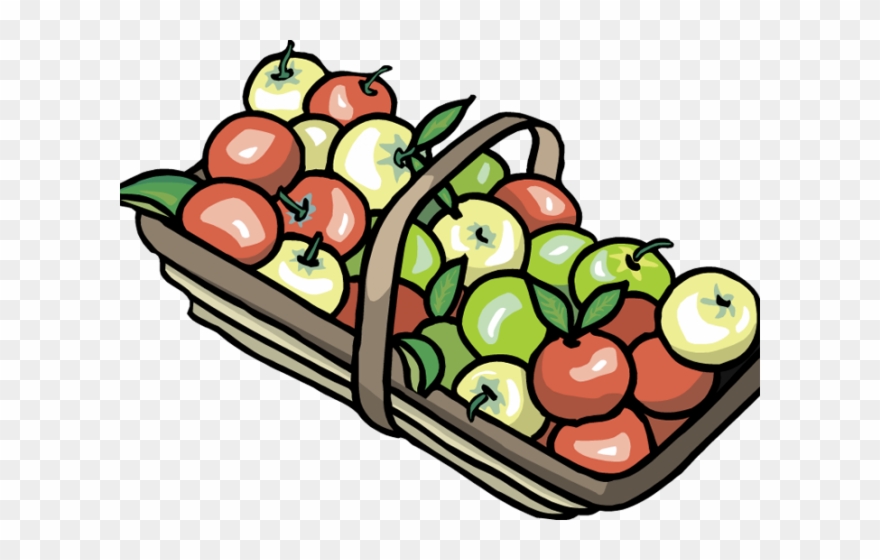 Bowl Clipart Apple - Basket Of Apples - Png Download