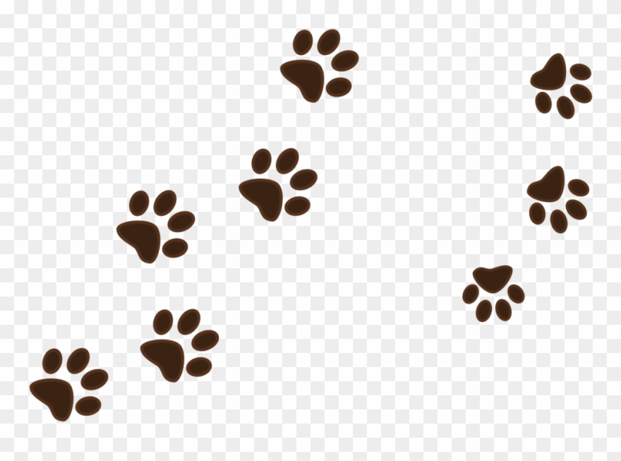 "här Har Någon Tassat Fram " - Illustration Clipart