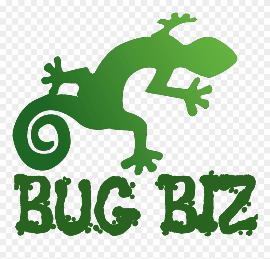 Bug Biz Reptile And Creepy Crawly Parties - Chameleon Clipart
