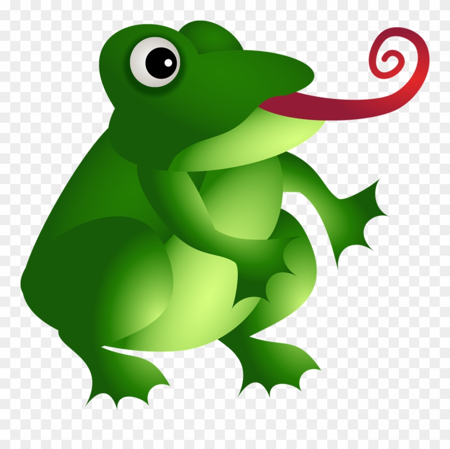 Dibujo De Un Anfibio A Color Clipart