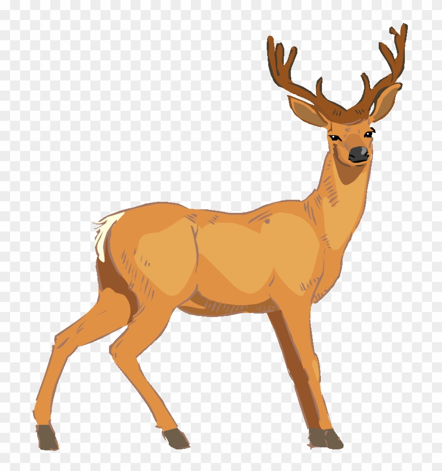Baby Deer Clip Art Image - Vector Deer - Png Download