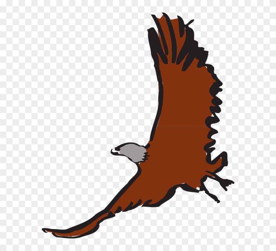 Free Hawk Clipart 12, Buy Clip Art - Clip Art - Png Download