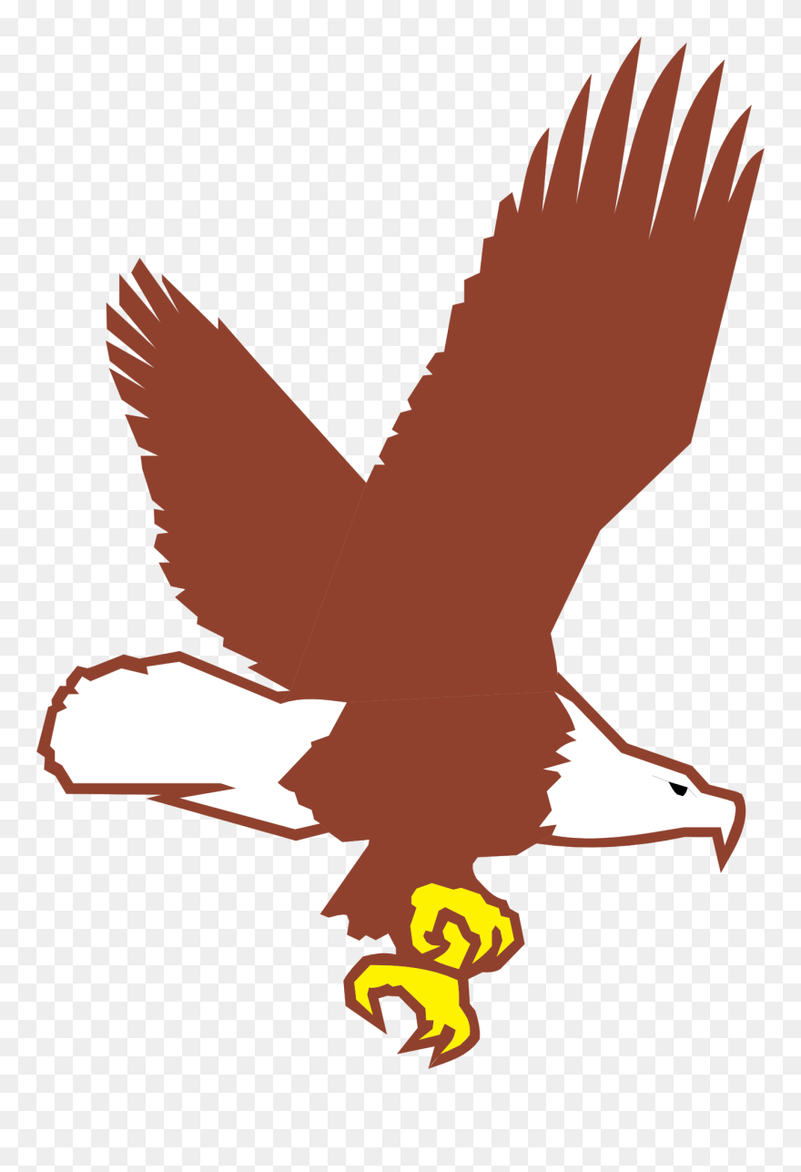 Flying Hawk Clipart 1, Buy Clip Art - Bald Eagle Flying Clip Art - Png Download