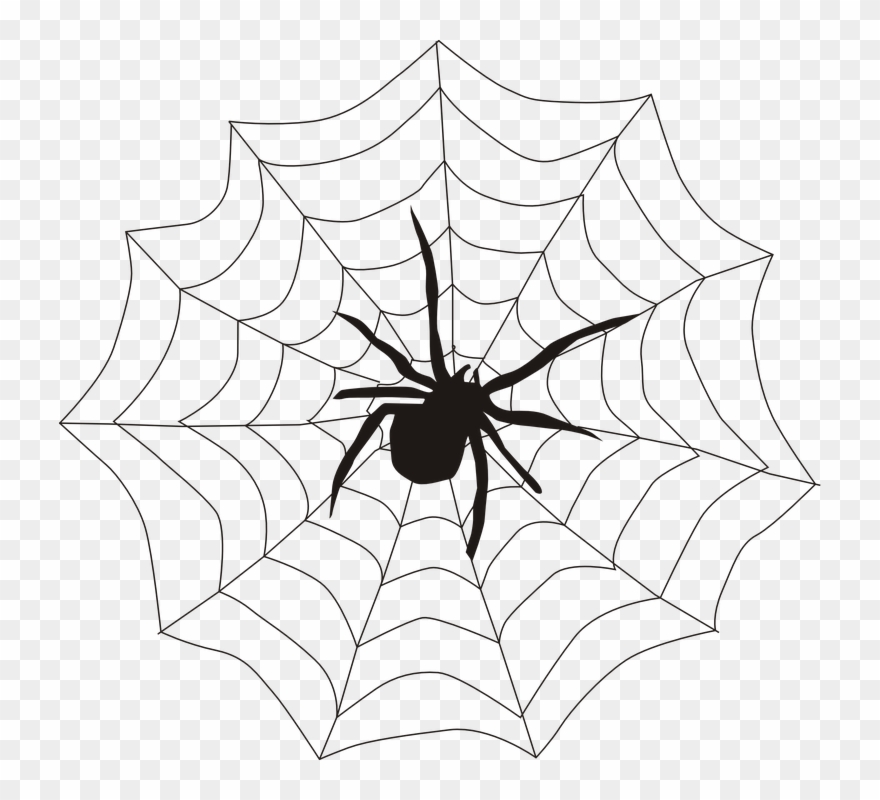 Halloween Cobwebs Cliparts 8, Buy Clip Art - Spider On A Web - Png Download