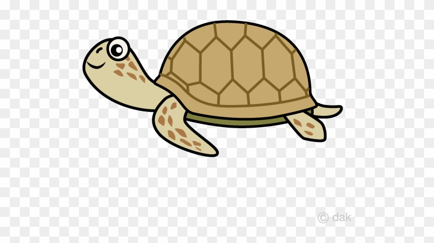 Sea Turtle Clipart