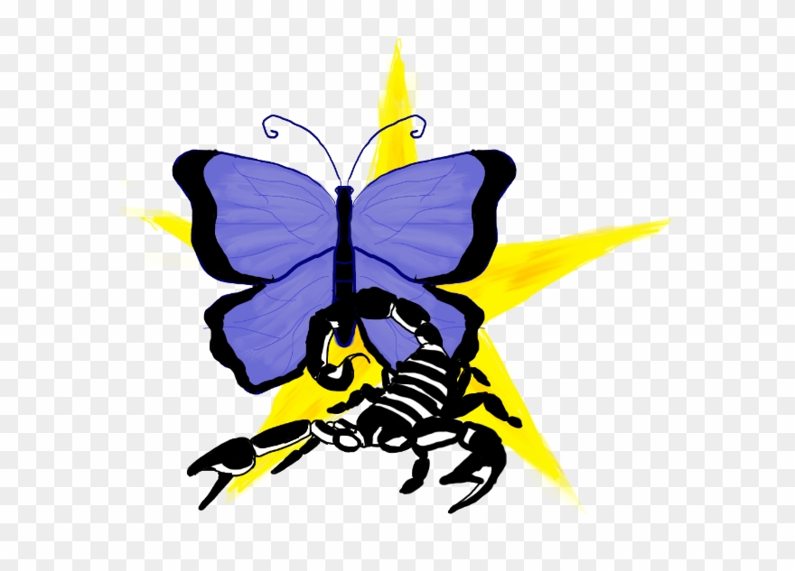 Butterfly Clipart