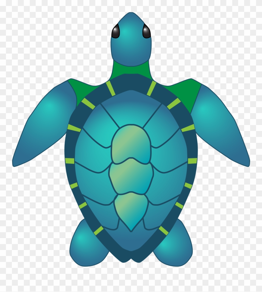 Sea Turtle Hires - Sea Turtle Clipart