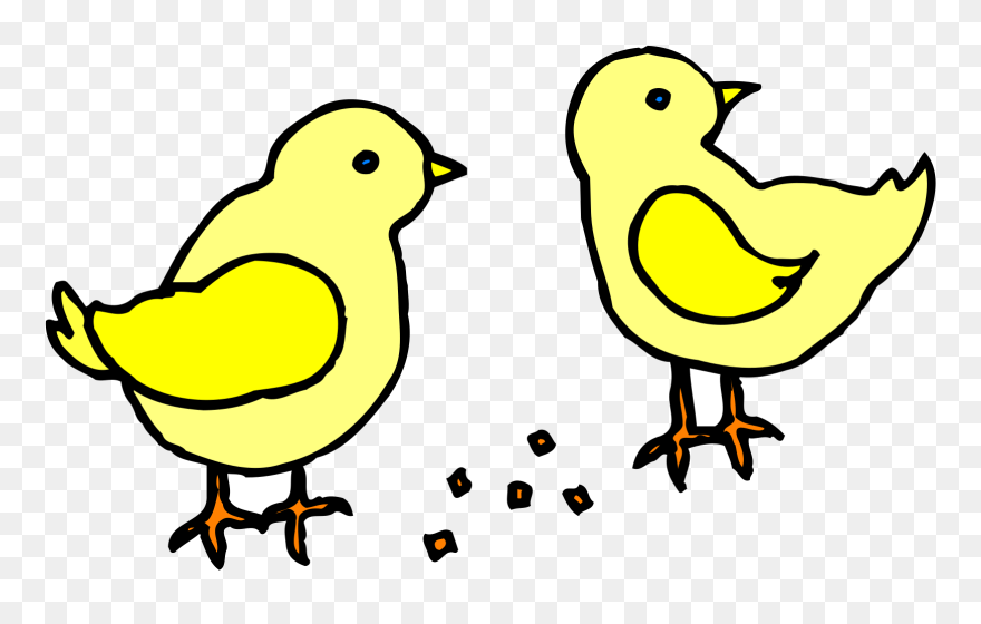 Similar Images For Baby Chicks Clipart - ลูกไก่ Png Transparent Png