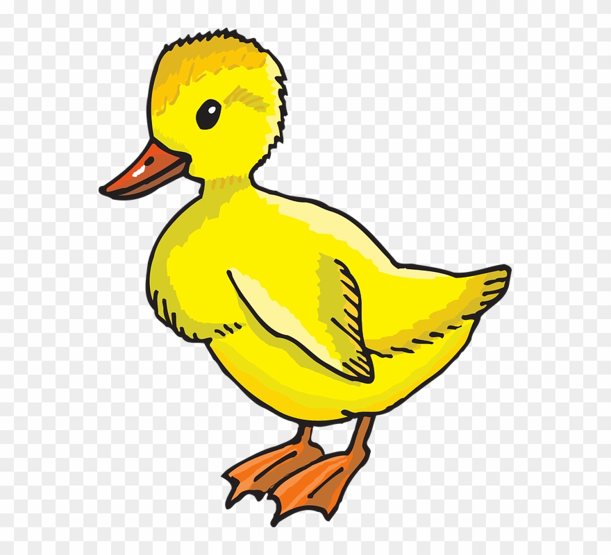 Thug Baby Cliparts 2, Buy Clip Art - Duckling Clip Art - Png Download