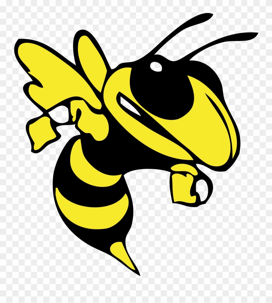 Hornet Clipart Baby - Harpursville Hornets - Png Download