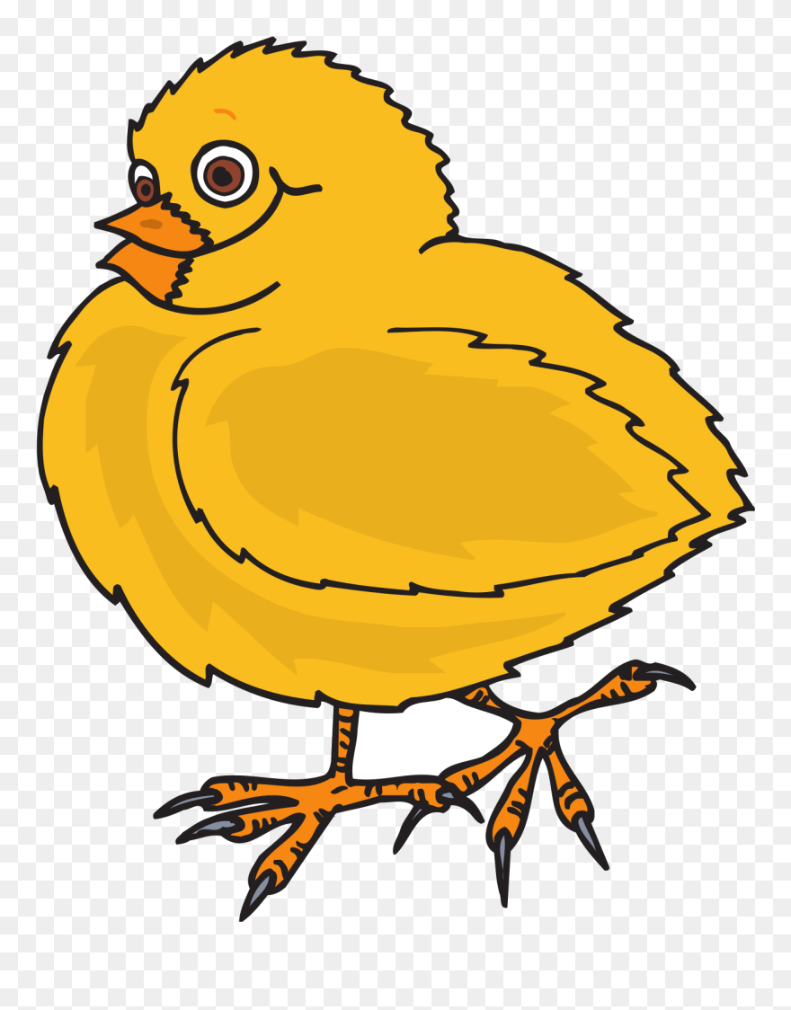 Collection Of Stork Baby Clipart - Con Gà Con Lông Vàng - Png Download