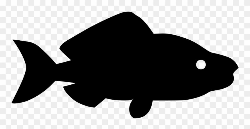 Pink Salmon Sea Type Comments - Big Fish Silhouette Clipart