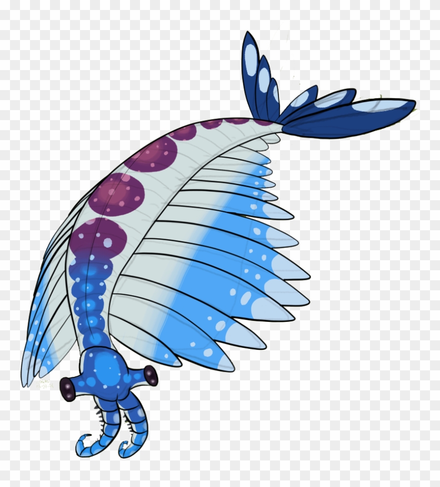 Anomalocaris Means "weird Shrimp" - Transparent Anomalocaris Clipart