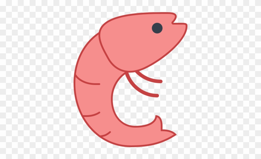 Shrimp - Icon Clipart