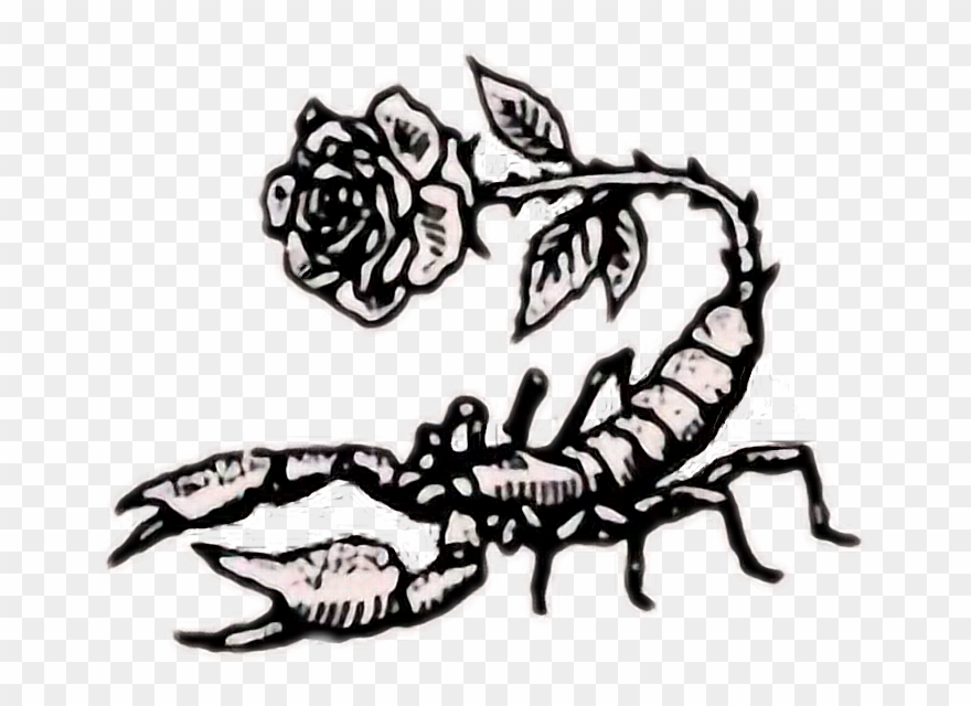 Tumblr Rose Rock Scorpion - Scorpio Wallpaper For Iphone Clipart