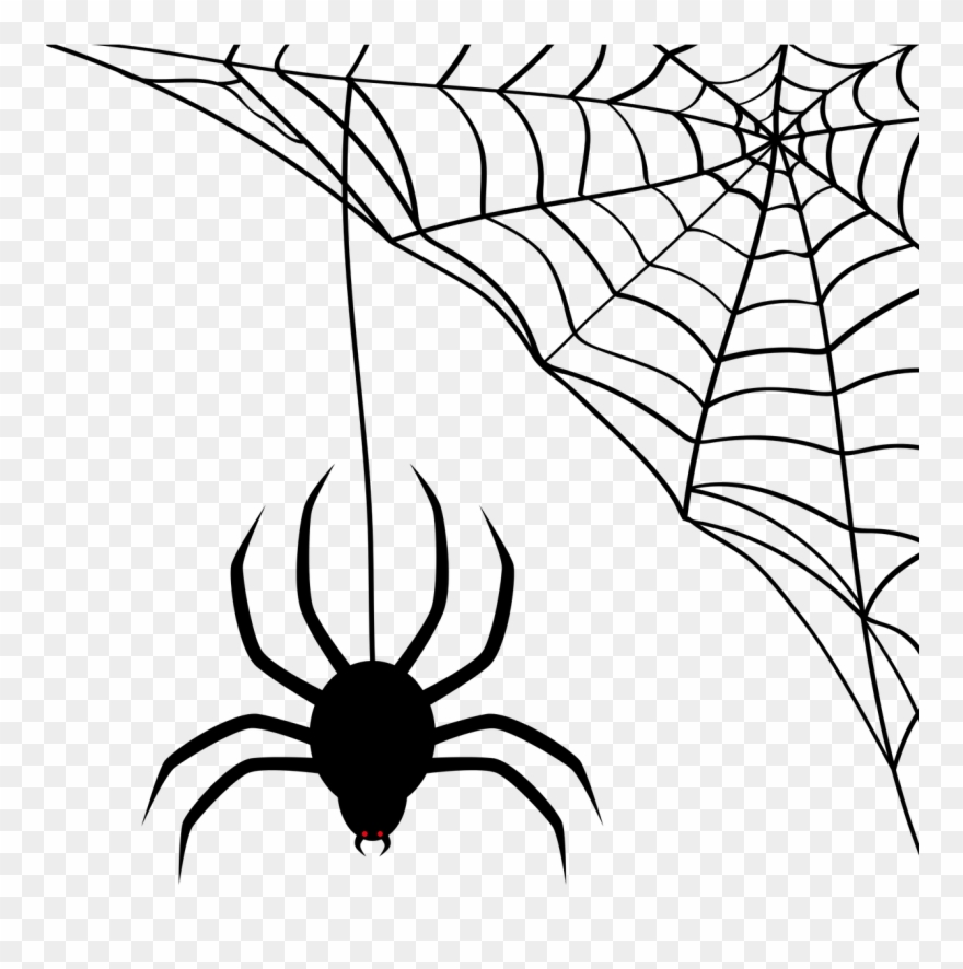 Spider Network Cobweb Halloween Png Image - Desenhos De Halloween Teia De Aranha Clipart