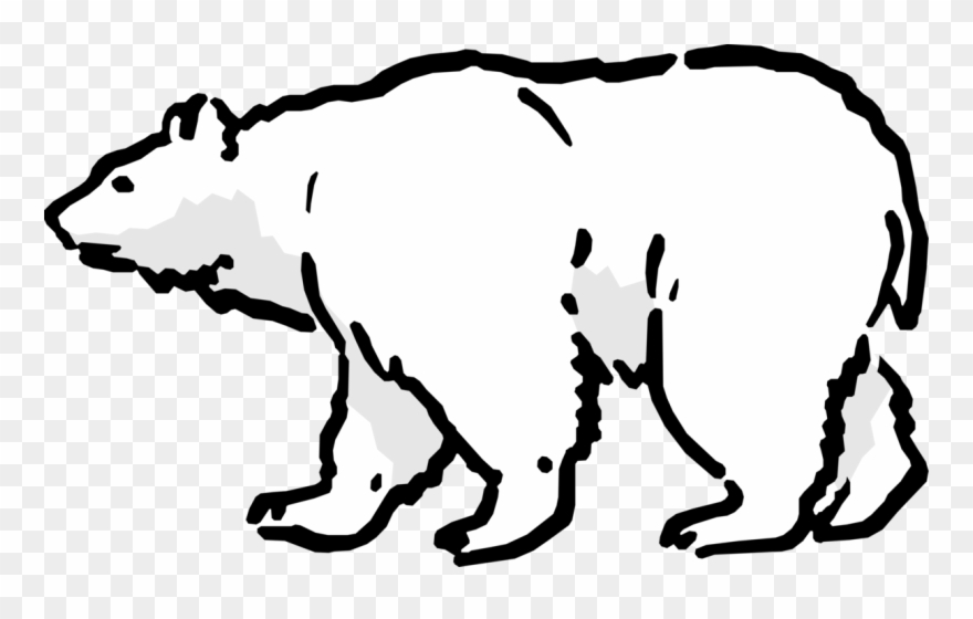 Graphic Black And White Stock Bear Image Illustration - My Arctic Animal Science Journal Clipart