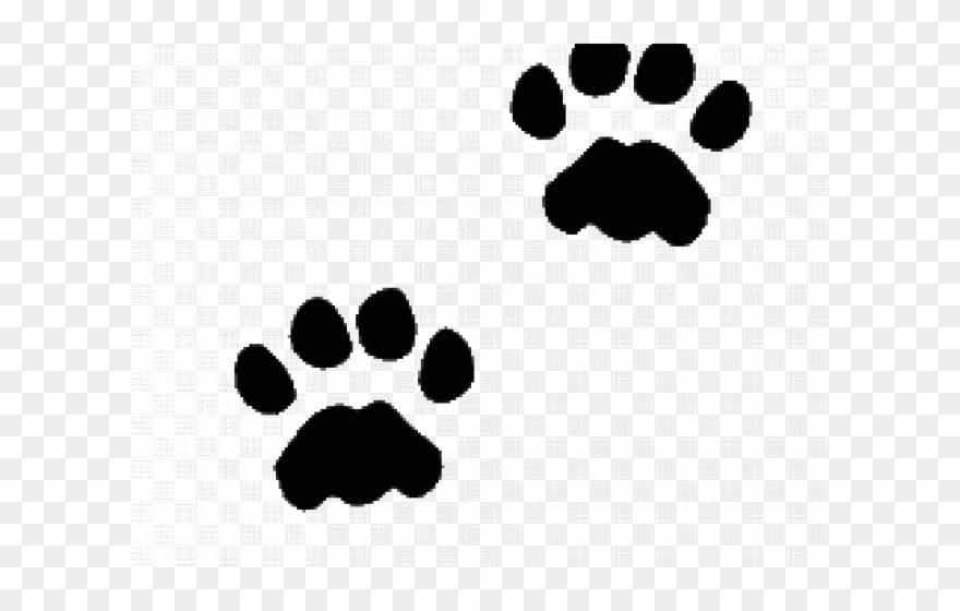 Cat Paw Prints Images - Footprint Of Animals Clipart