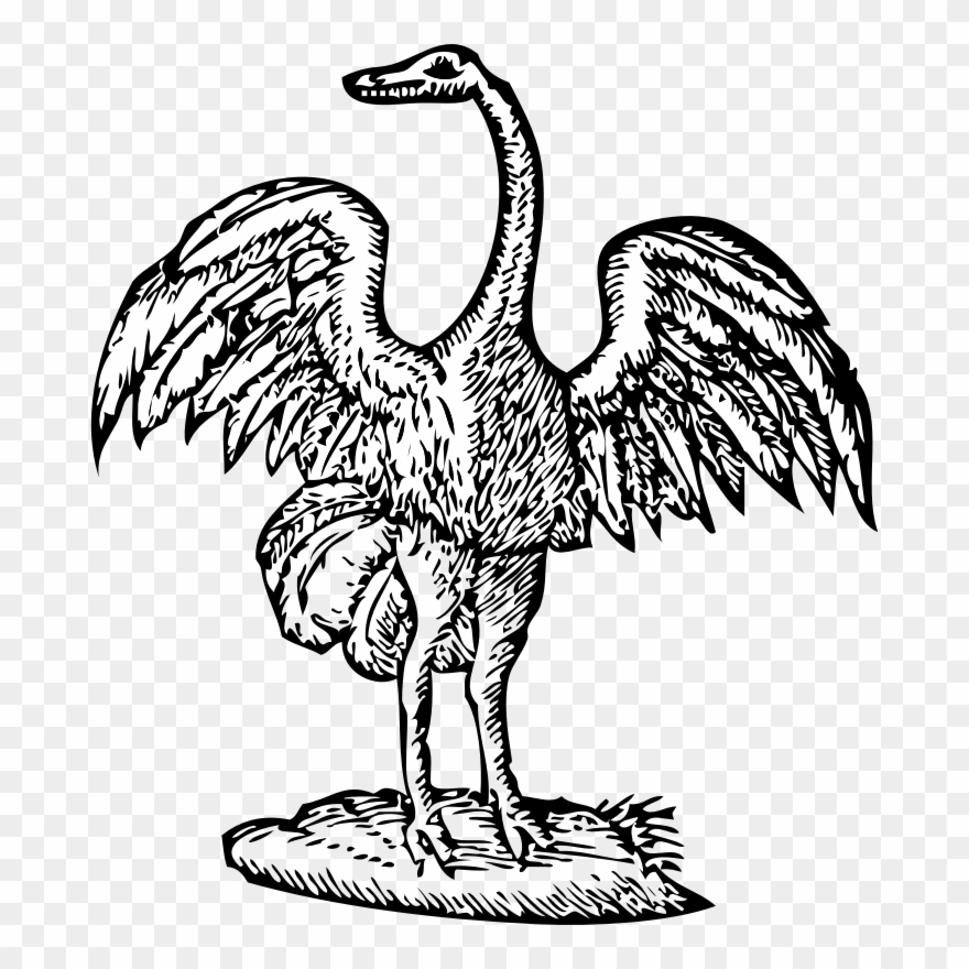 Engraving Clip Art Free, Clipart Bird Engraving - Bird Engraving - Png Download